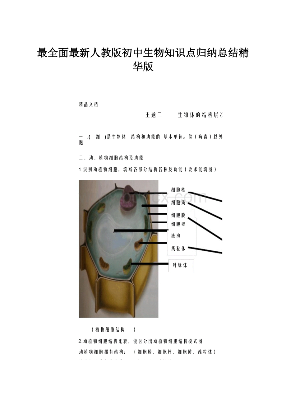 最全面最新人教版初中生物知识点归纳总结精华版.docx_第1页