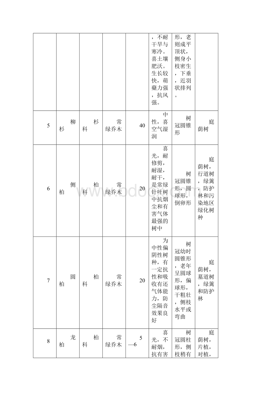 园林植物苗木表精编WORD版.docx_第3页