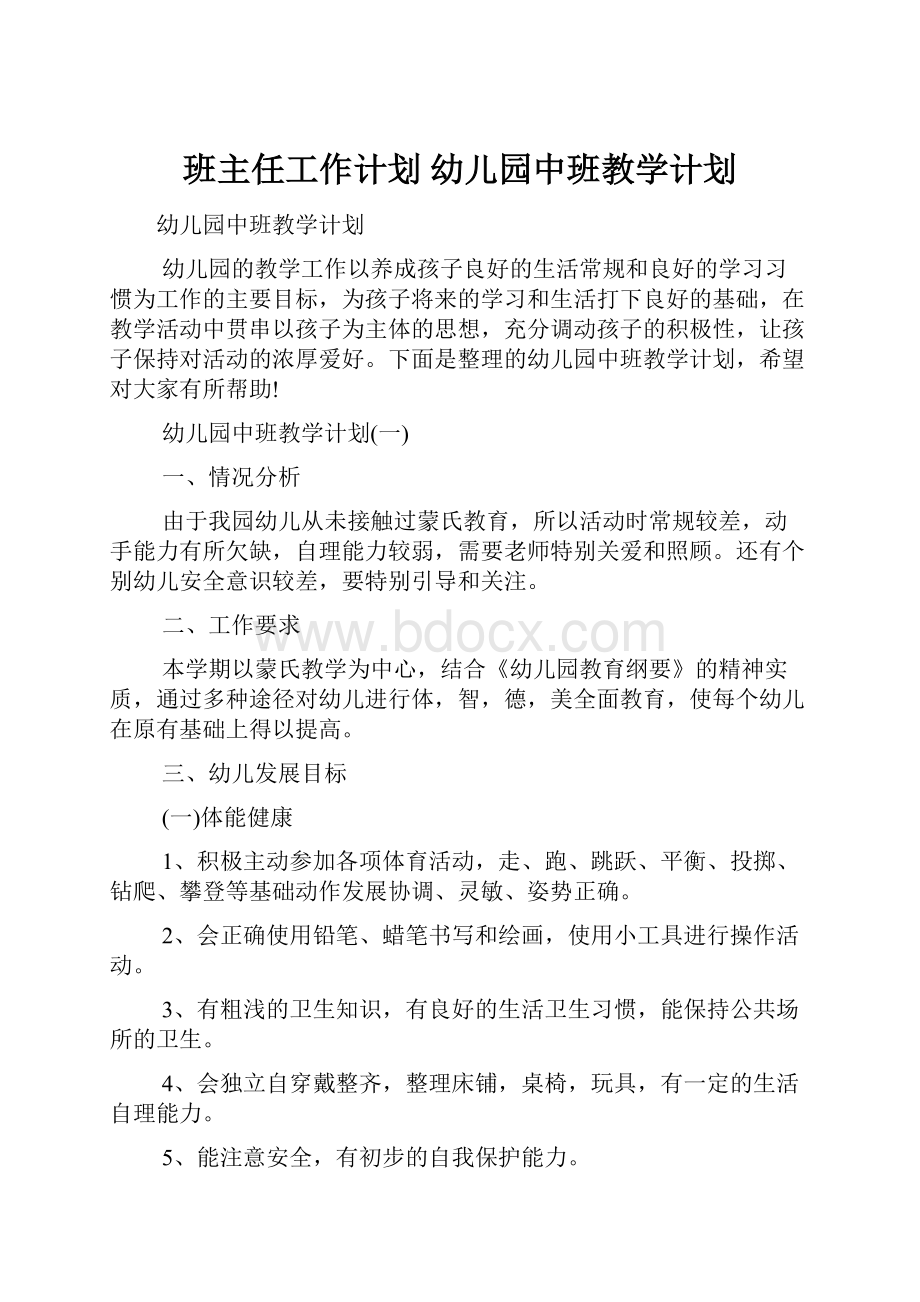 班主任工作计划 幼儿园中班教学计划.docx