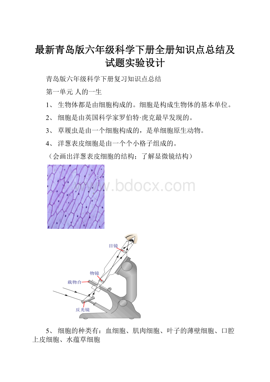 最新青岛版六年级科学下册全册知识点总结及试题实验设计.docx