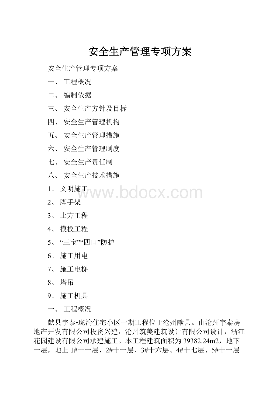 安全生产管理专项方案.docx