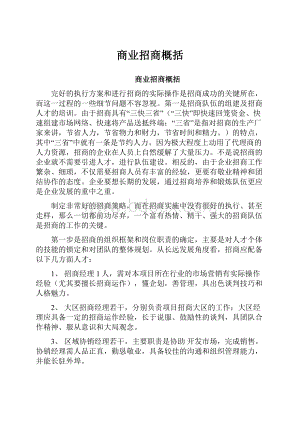 商业招商概括.docx