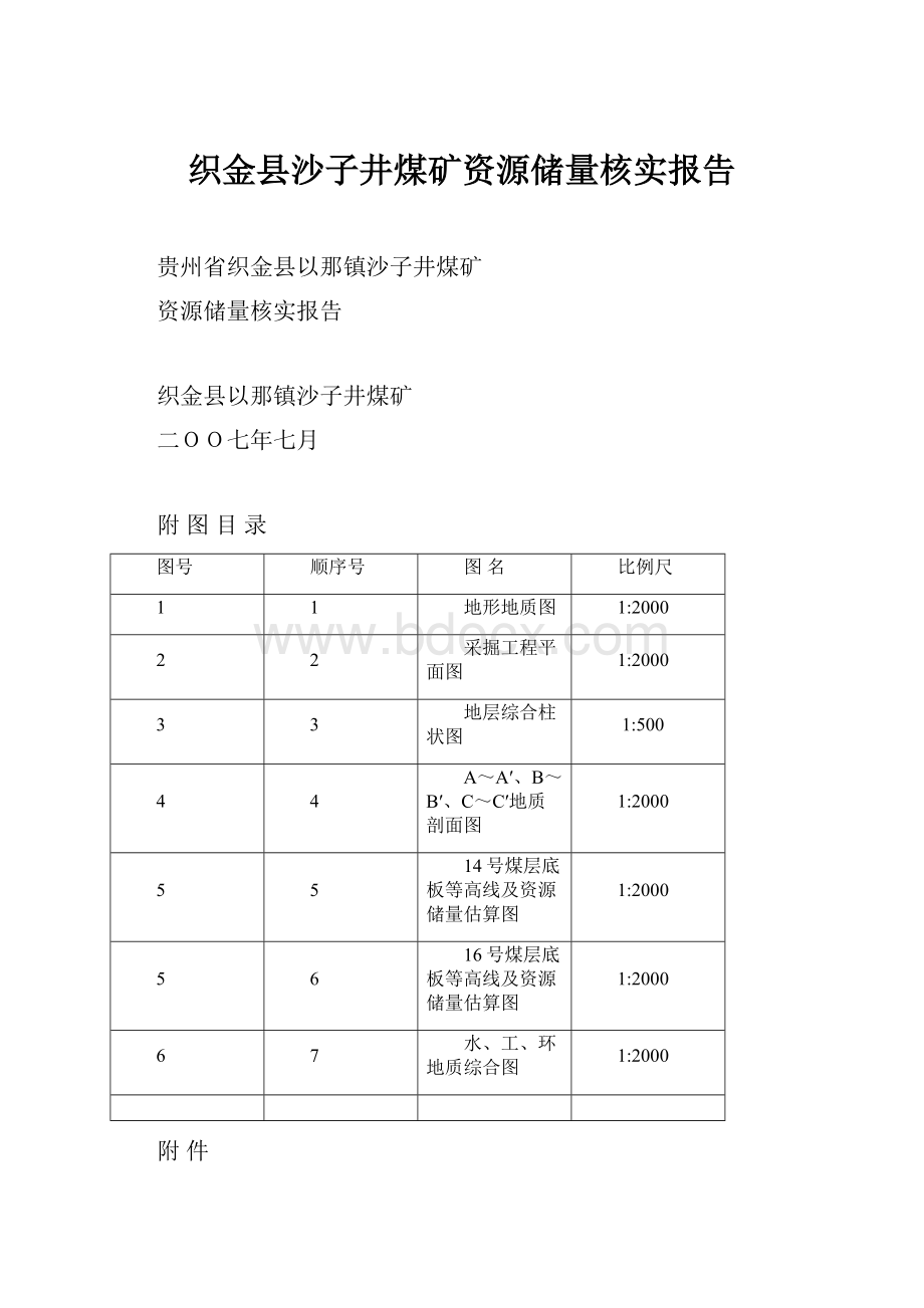 织金县沙子井煤矿资源储量核实报告.docx