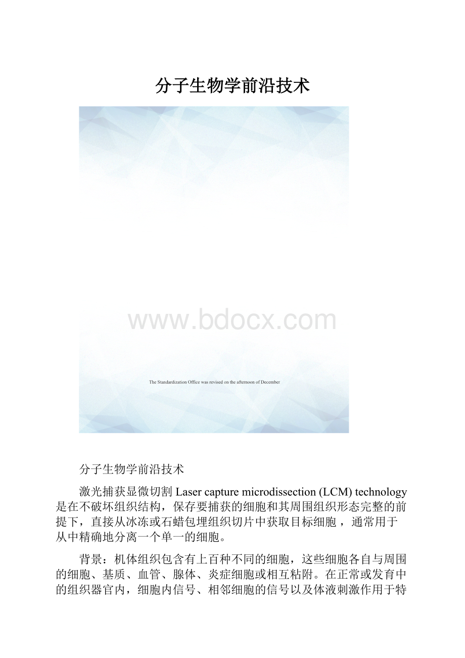 分子生物学前沿技术.docx