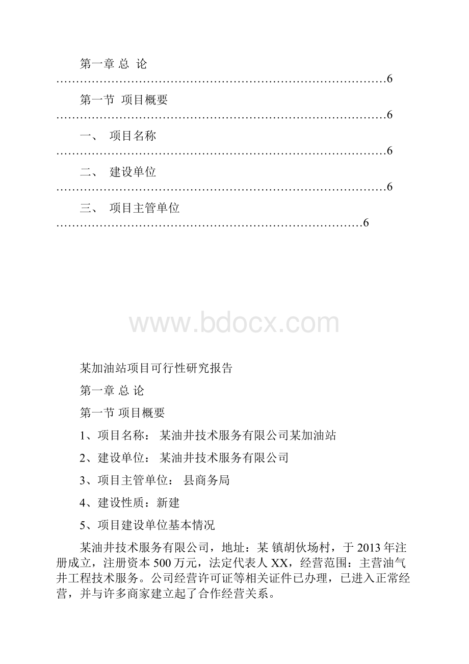 加油站新建项目可行性研究报告及施工方案.docx_第2页