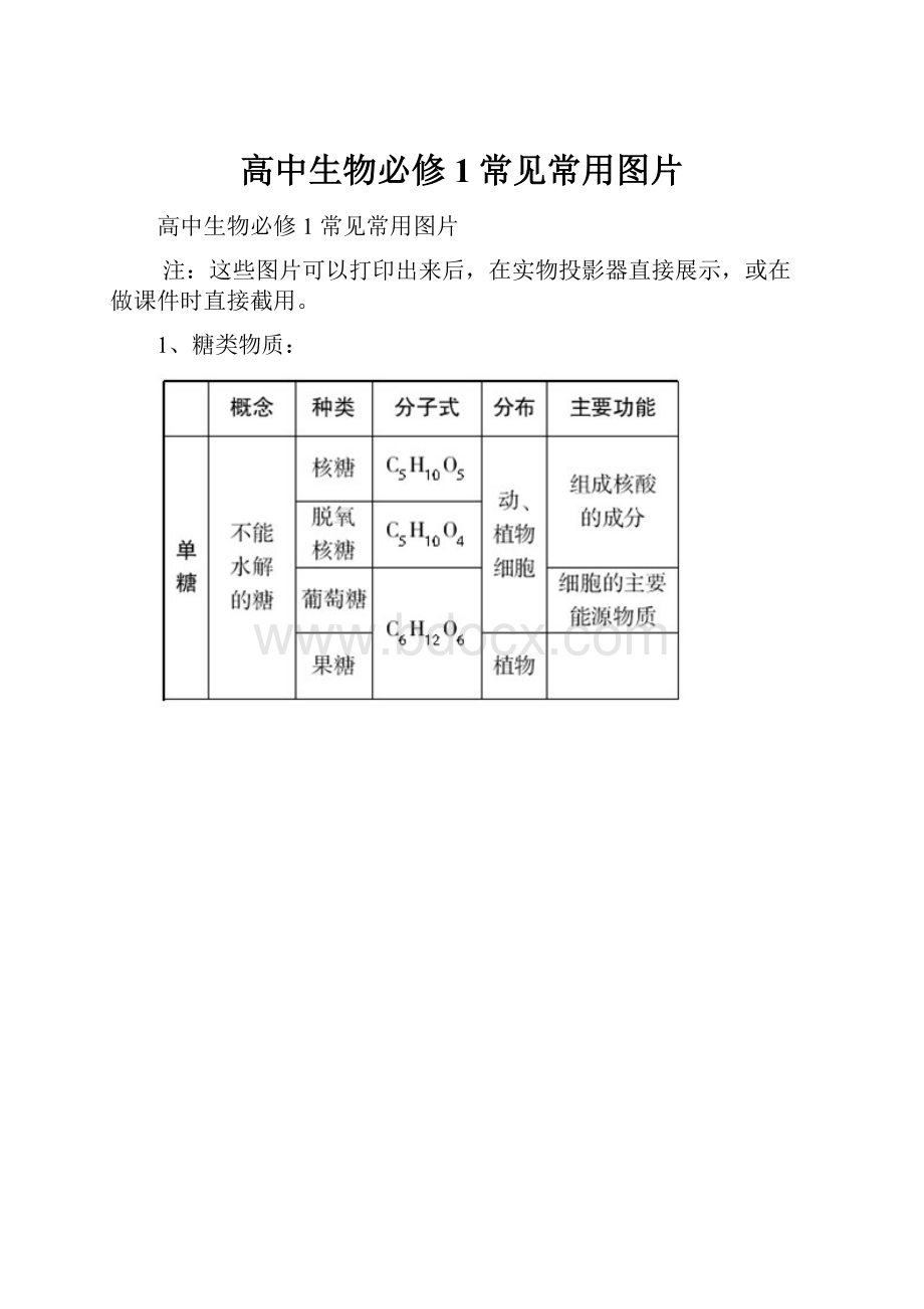 高中生物必修1常见常用图片.docx