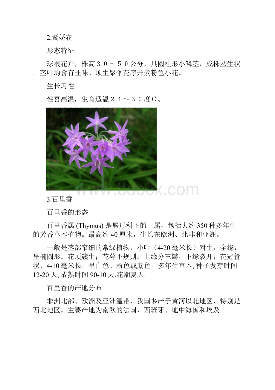 种花境植物有解析和图片.docx_第2页