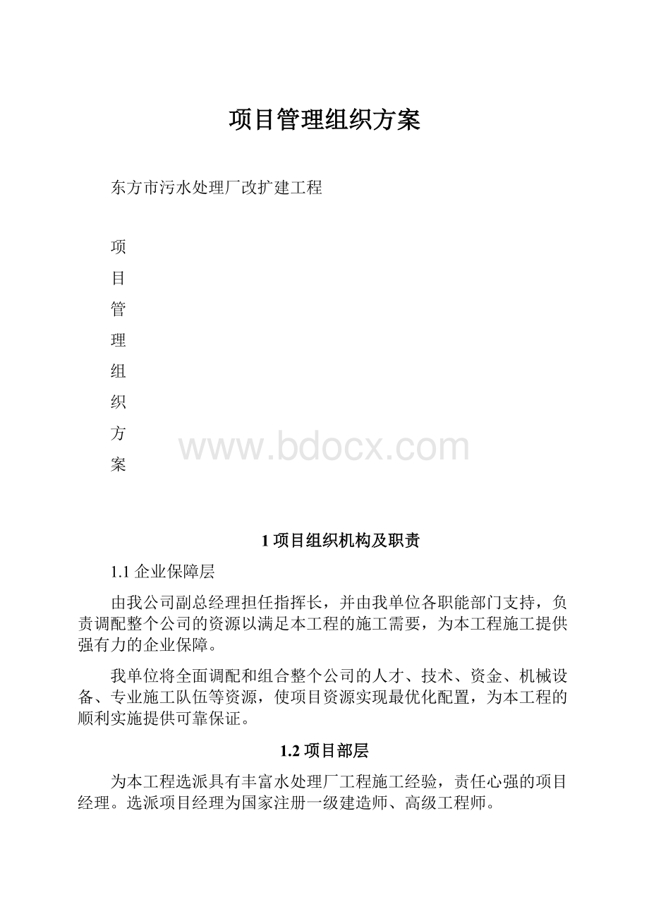 项目管理组织方案.docx_第1页