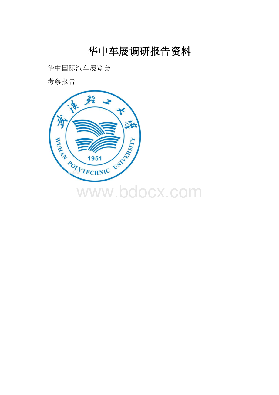 华中车展调研报告资料.docx