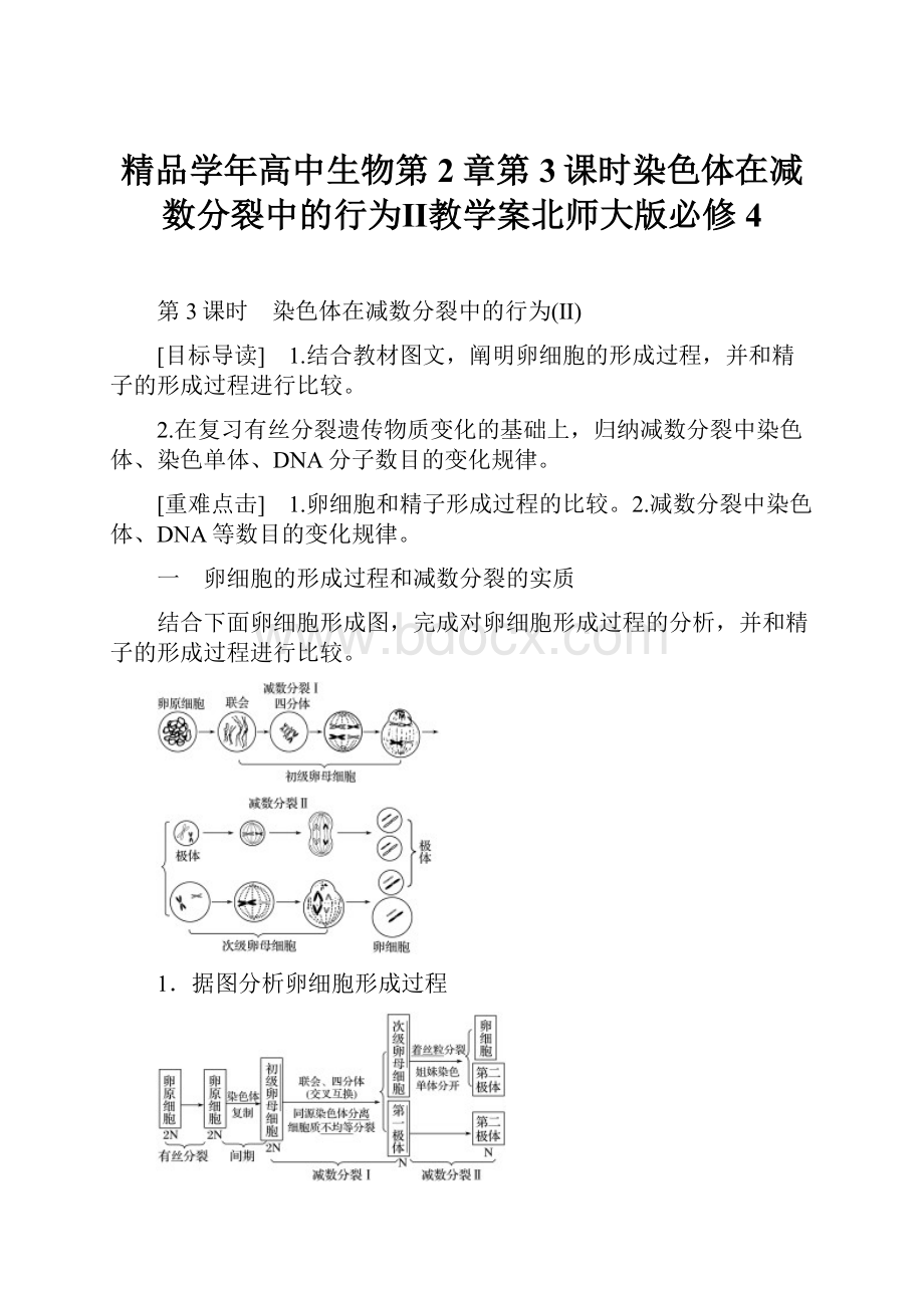 精品学年高中生物第2章第3课时染色体在减数分裂中的行为Ⅱ教学案北师大版必修4.docx