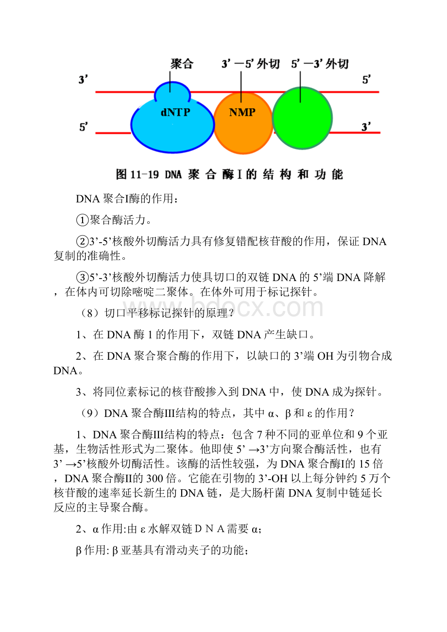 分子生物学PPT思考题.docx_第3页