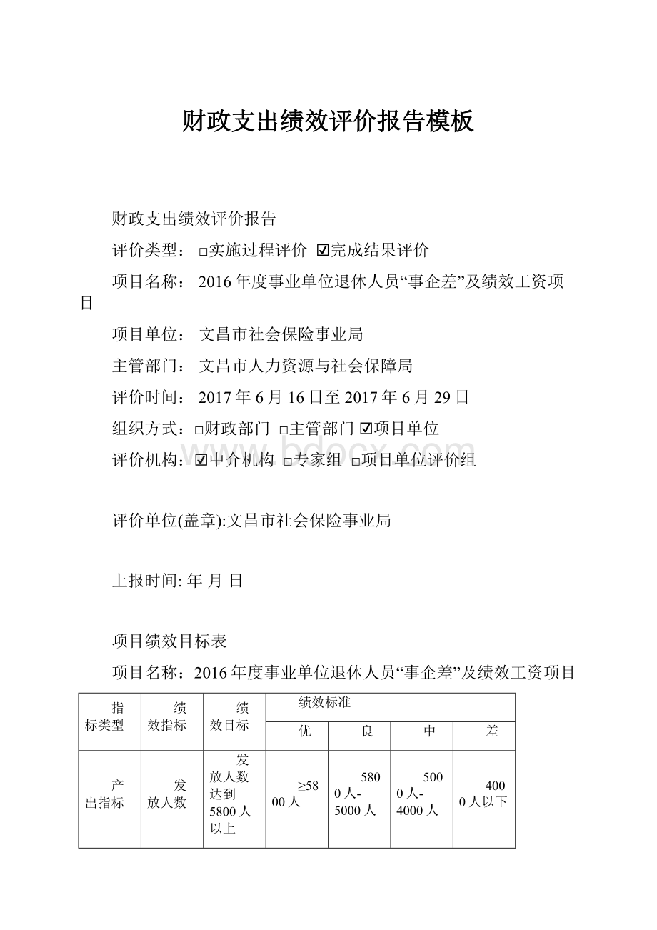 财政支出绩效评价报告模板.docx