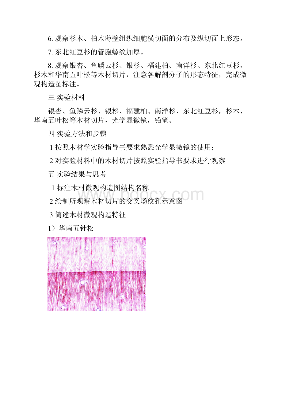 木材学针叶材微观构造实验报告.docx_第2页