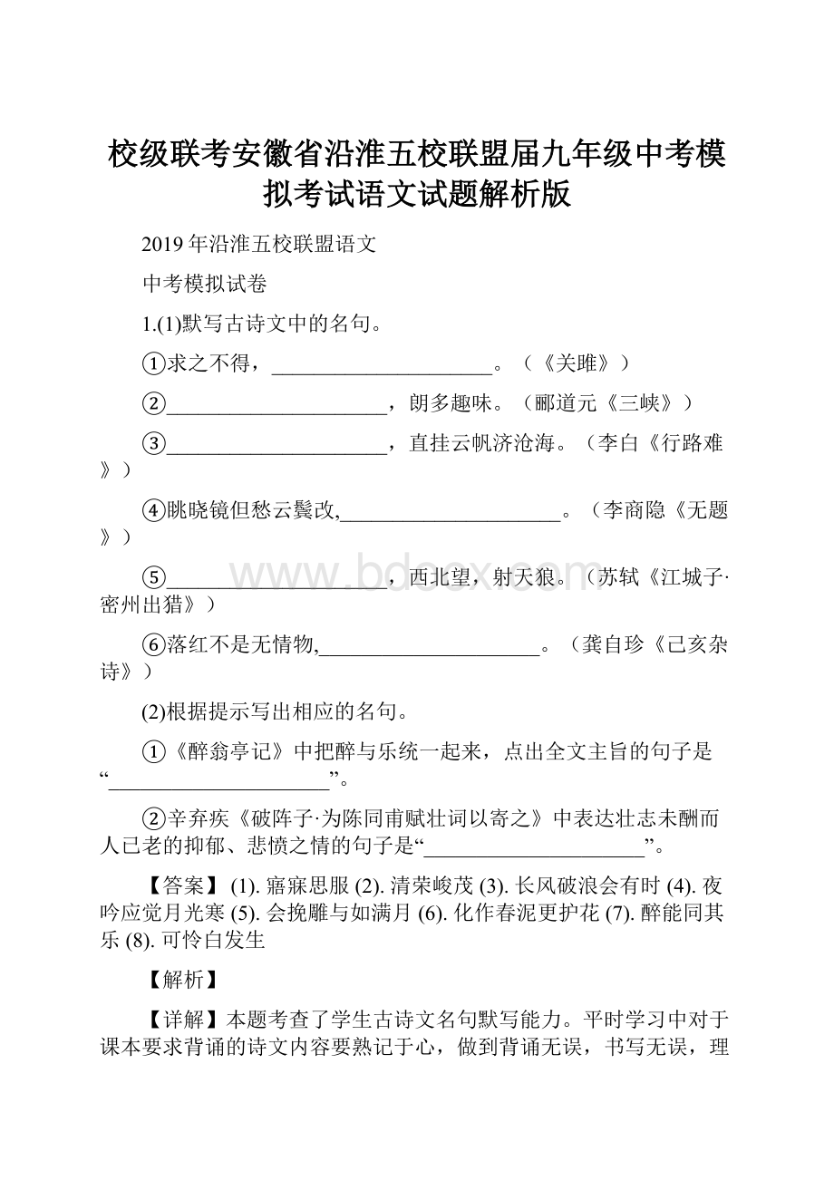 校级联考安徽省沿淮五校联盟届九年级中考模拟考试语文试题解析版.docx