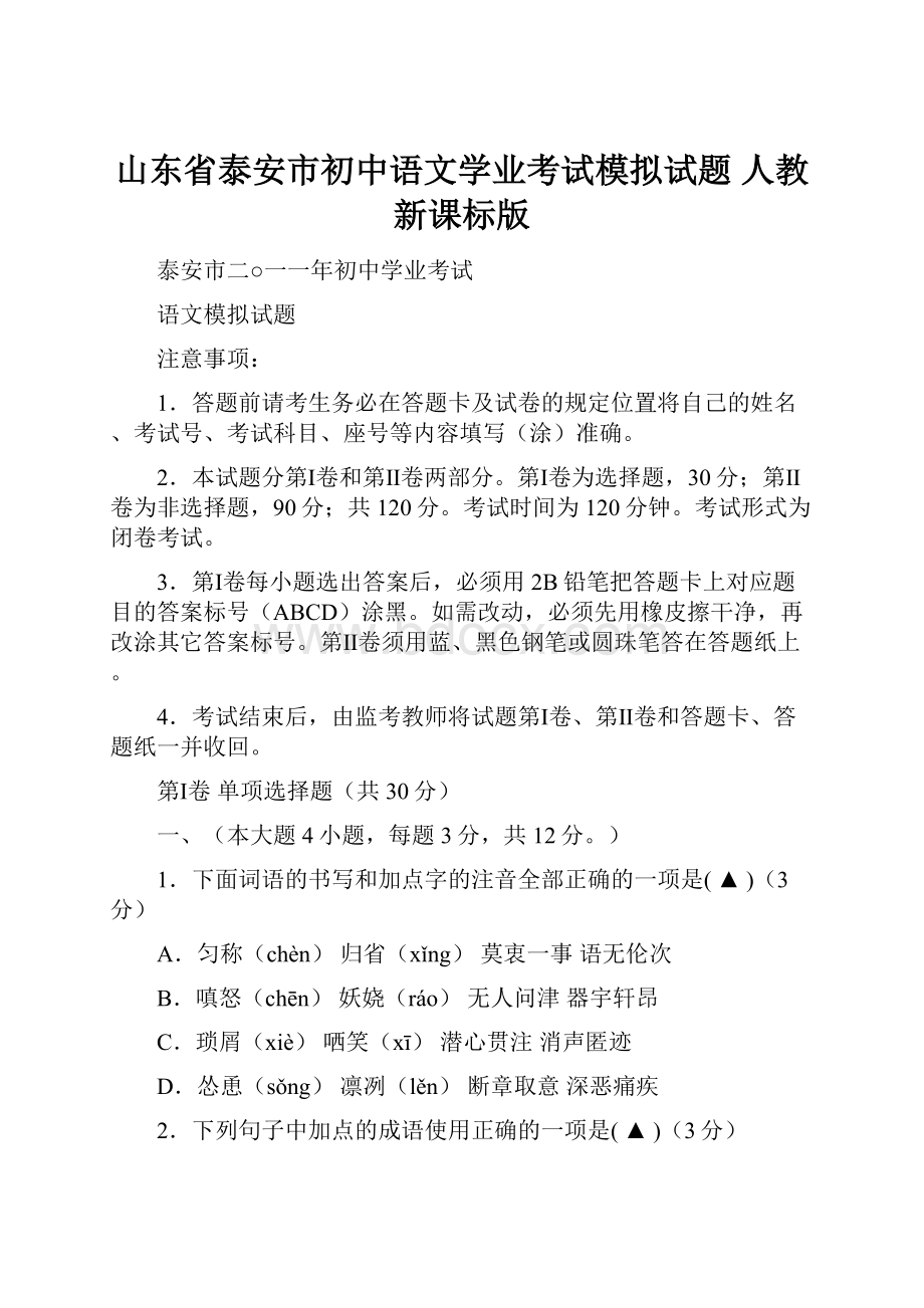 山东省泰安市初中语文学业考试模拟试题 人教新课标版.docx