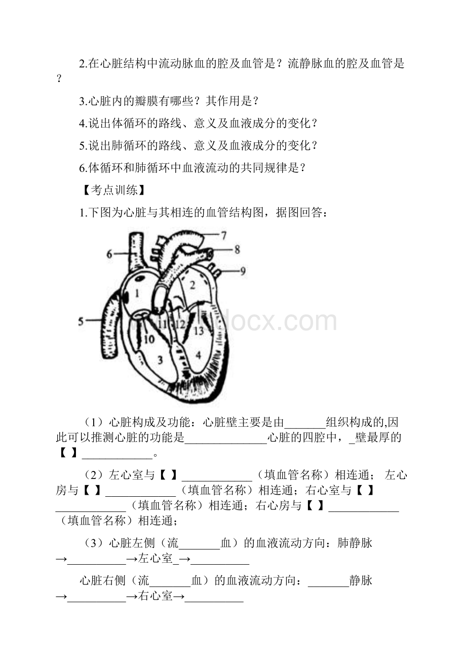 7年级生物第四章 人体内物质的运输复习导学案2.docx_第2页