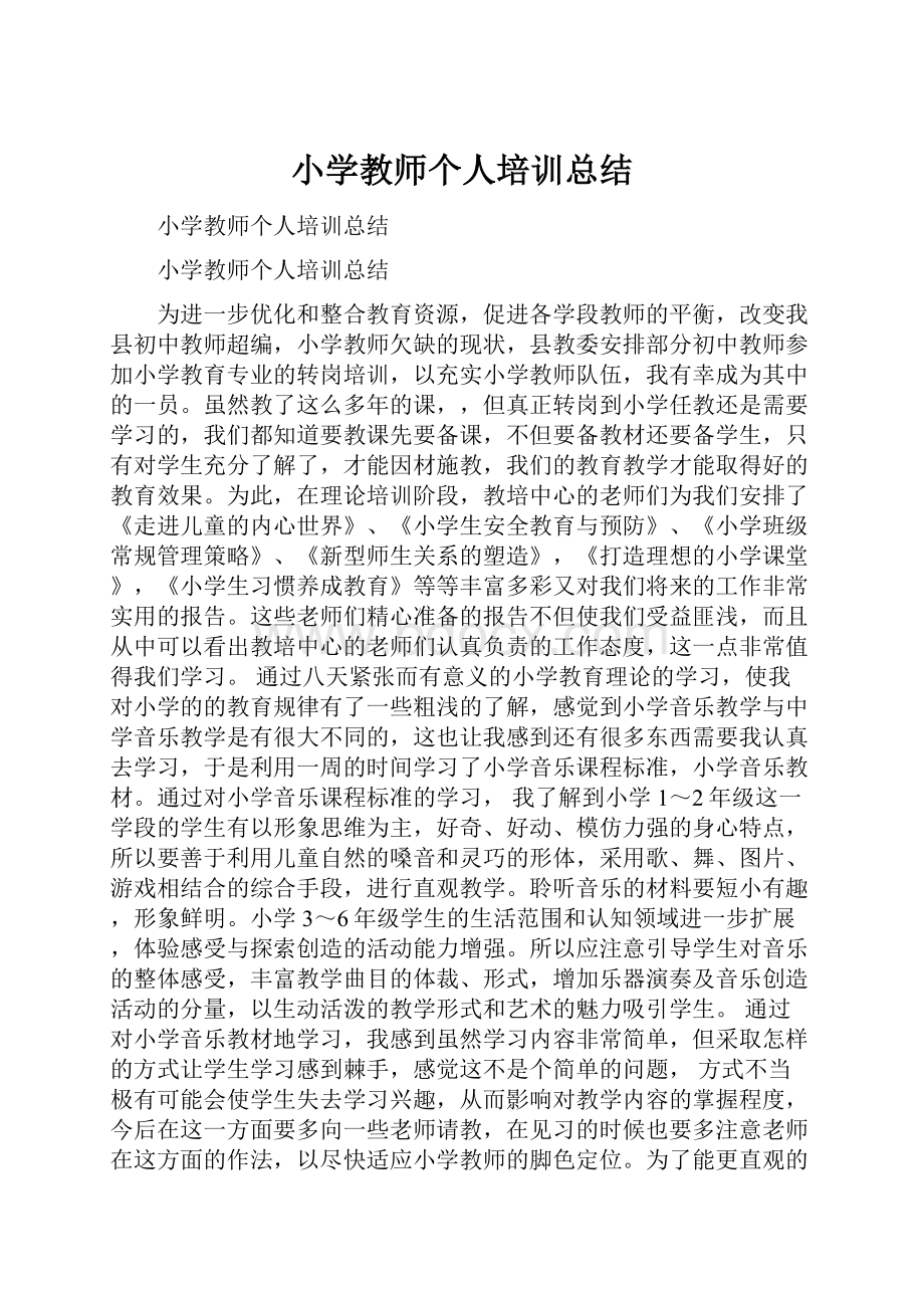 小学教师个人培训总结.docx