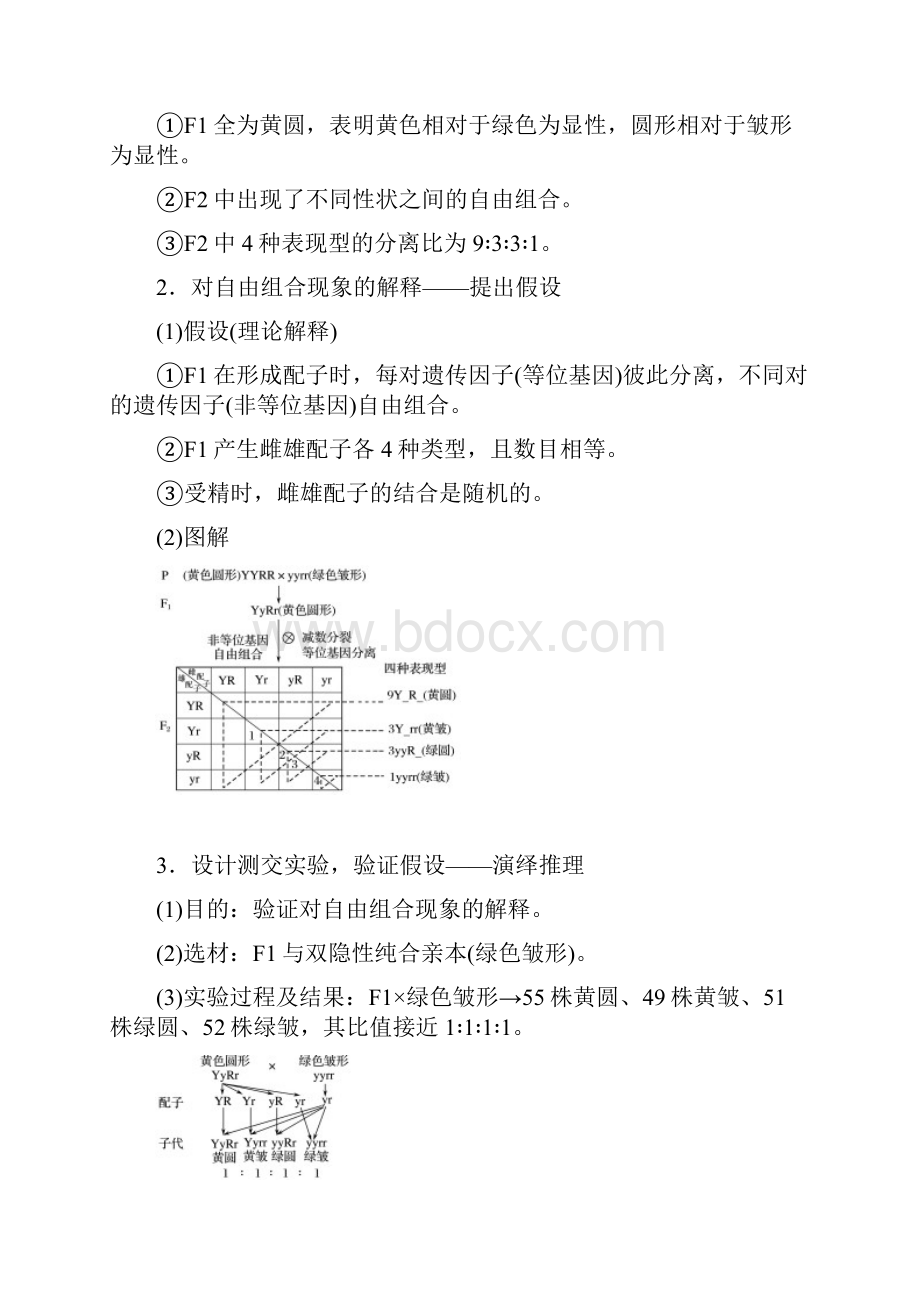 第4单元第16讲 自由组合定律I.docx_第2页