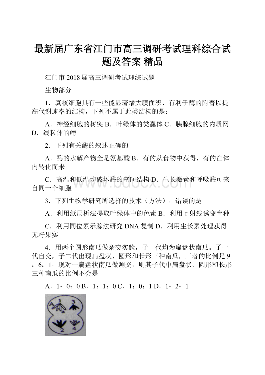 最新届广东省江门市高三调研考试理科综合试题及答案 精品.docx