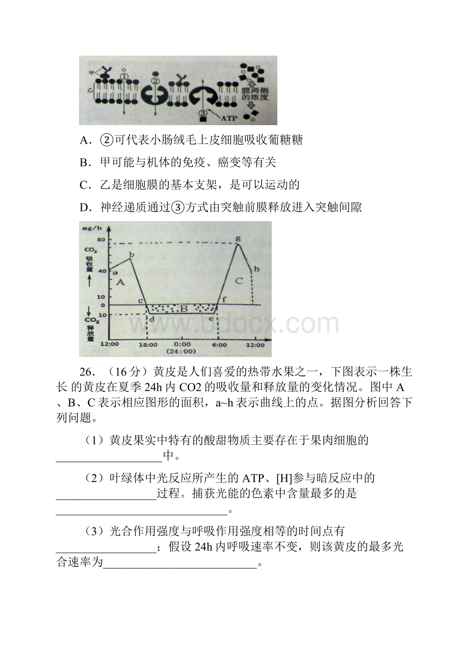 最新届广东省江门市高三调研考试理科综合试题及答案 精品.docx_第3页