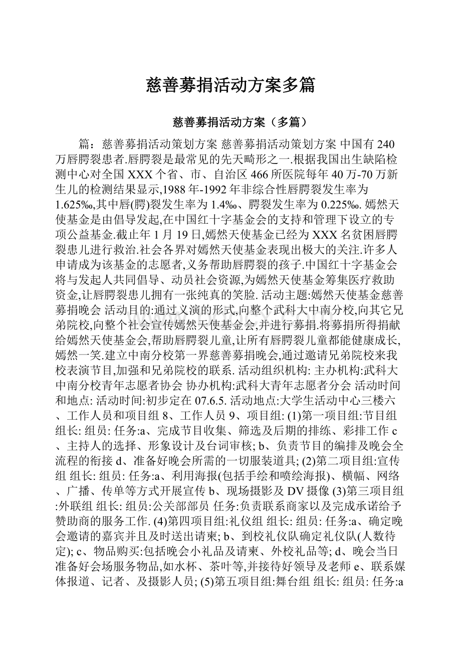 慈善募捐活动方案多篇.docx