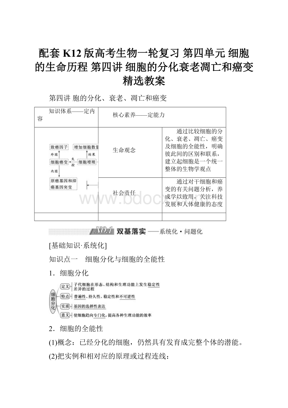 配套K12版高考生物一轮复习 第四单元 细胞的生命历程 第四讲 细胞的分化衰老凋亡和癌变精选教案.docx