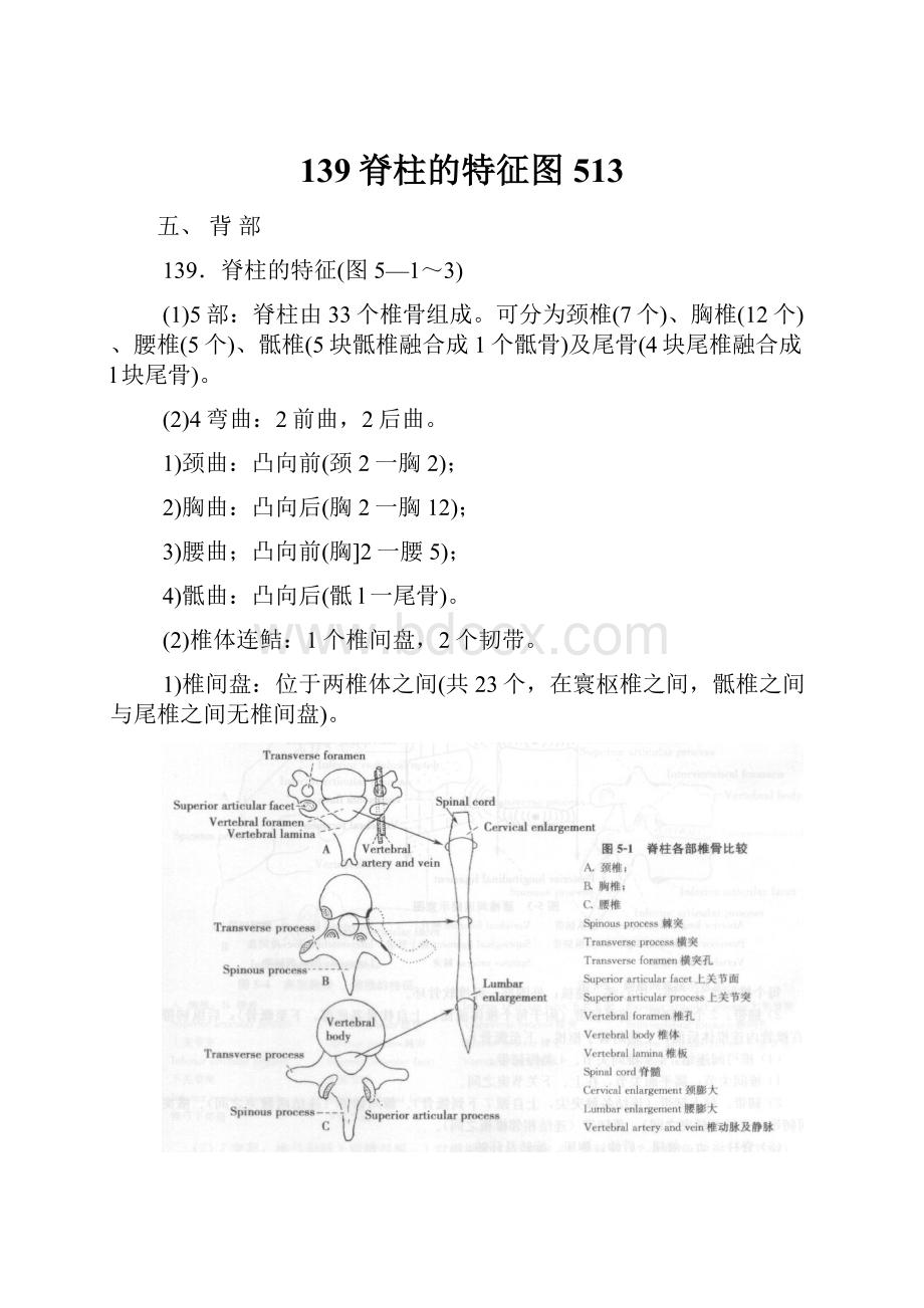 139脊柱的特征图513.docx