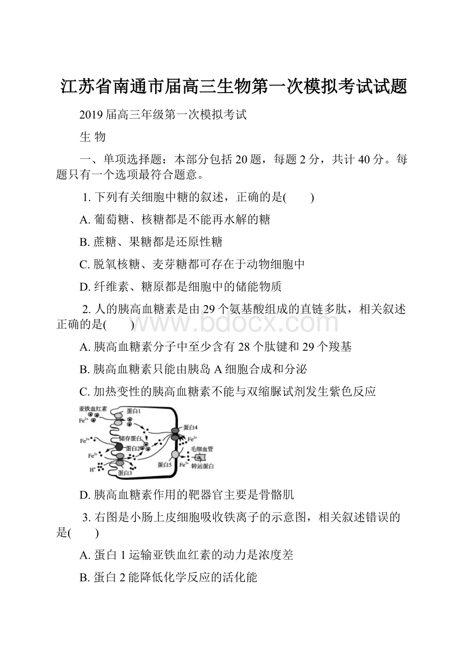 江苏省南通市届高三生物第一次模拟考试试题.docx