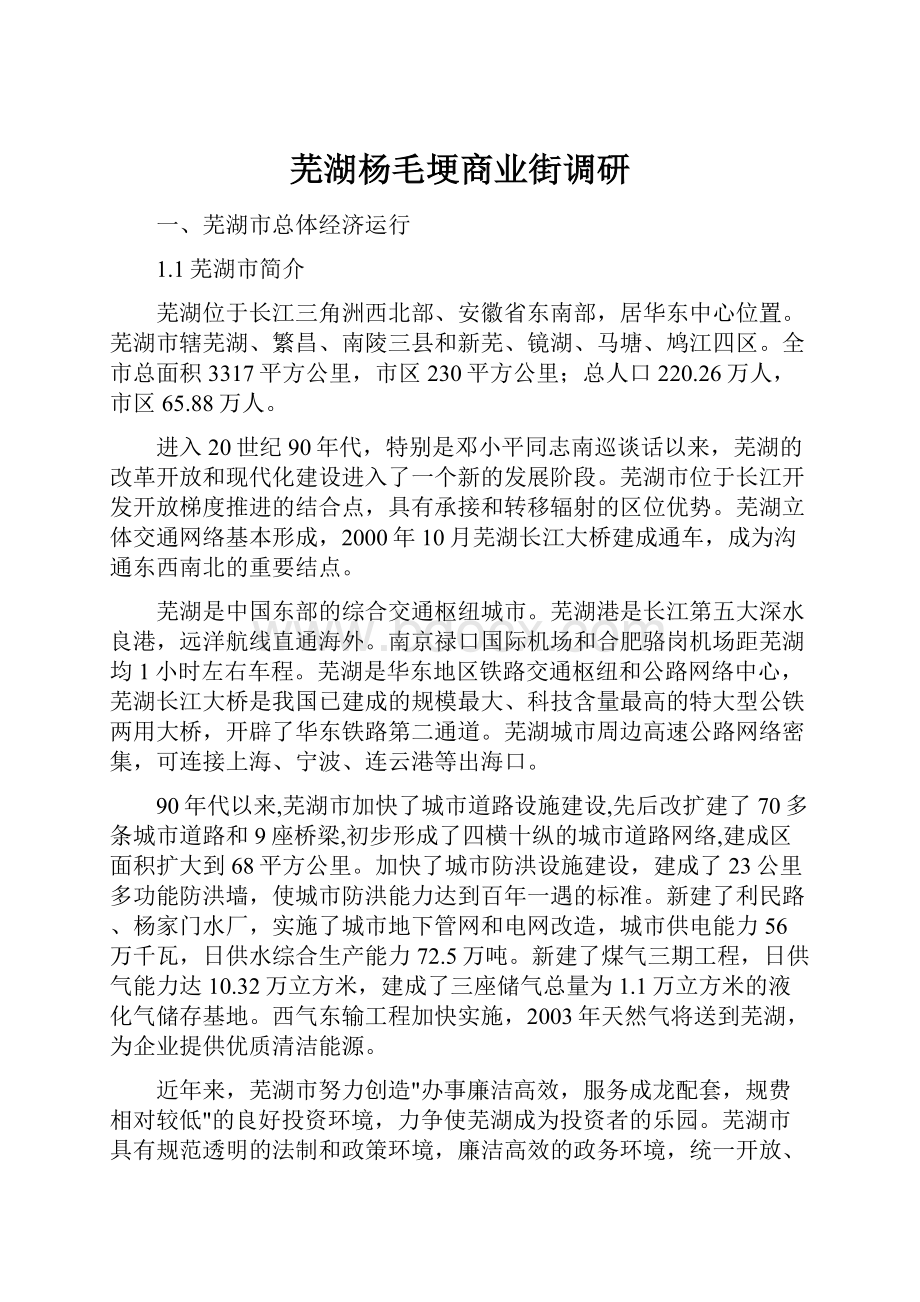 芜湖杨毛埂商业街调研.docx