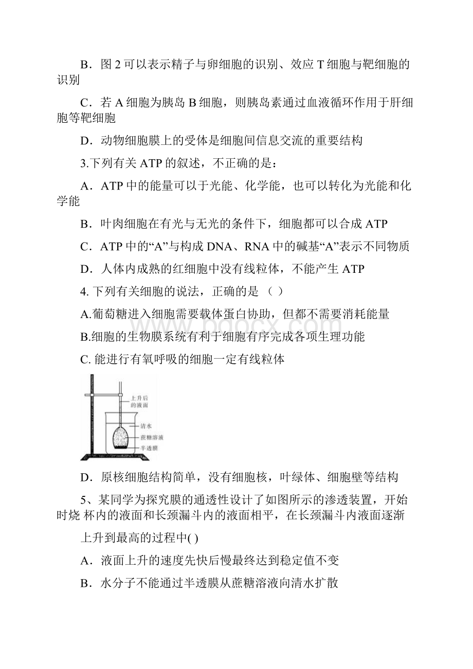 届内蒙古赤峰市宁城县高三统一考试一模生物试题及答案精品推荐.docx_第2页