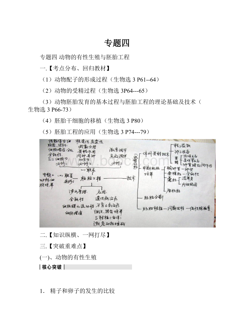 专题四.docx_第1页