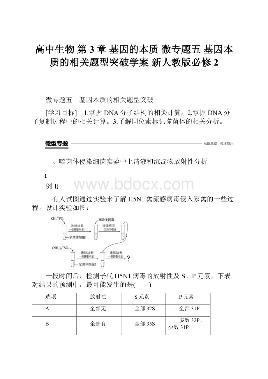 高中生物 第3章 基因的本质 微专题五 基因本质的相关题型突破学案 新人教版必修2.docx