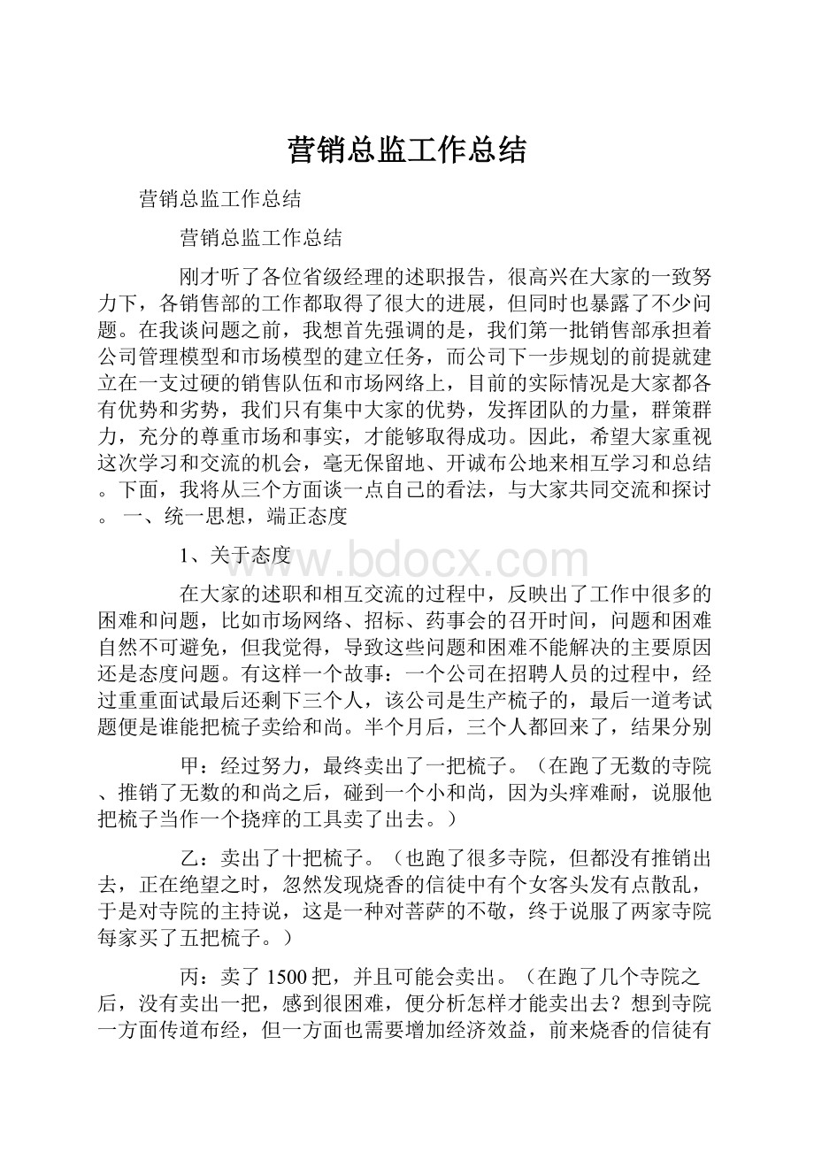 营销总监工作总结.docx