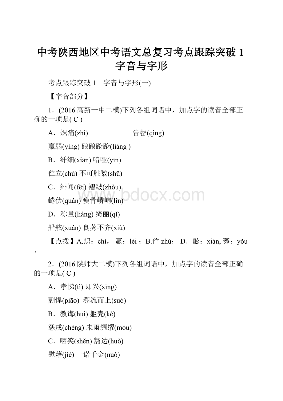 中考陕西地区中考语文总复习考点跟踪突破1字音与字形.docx