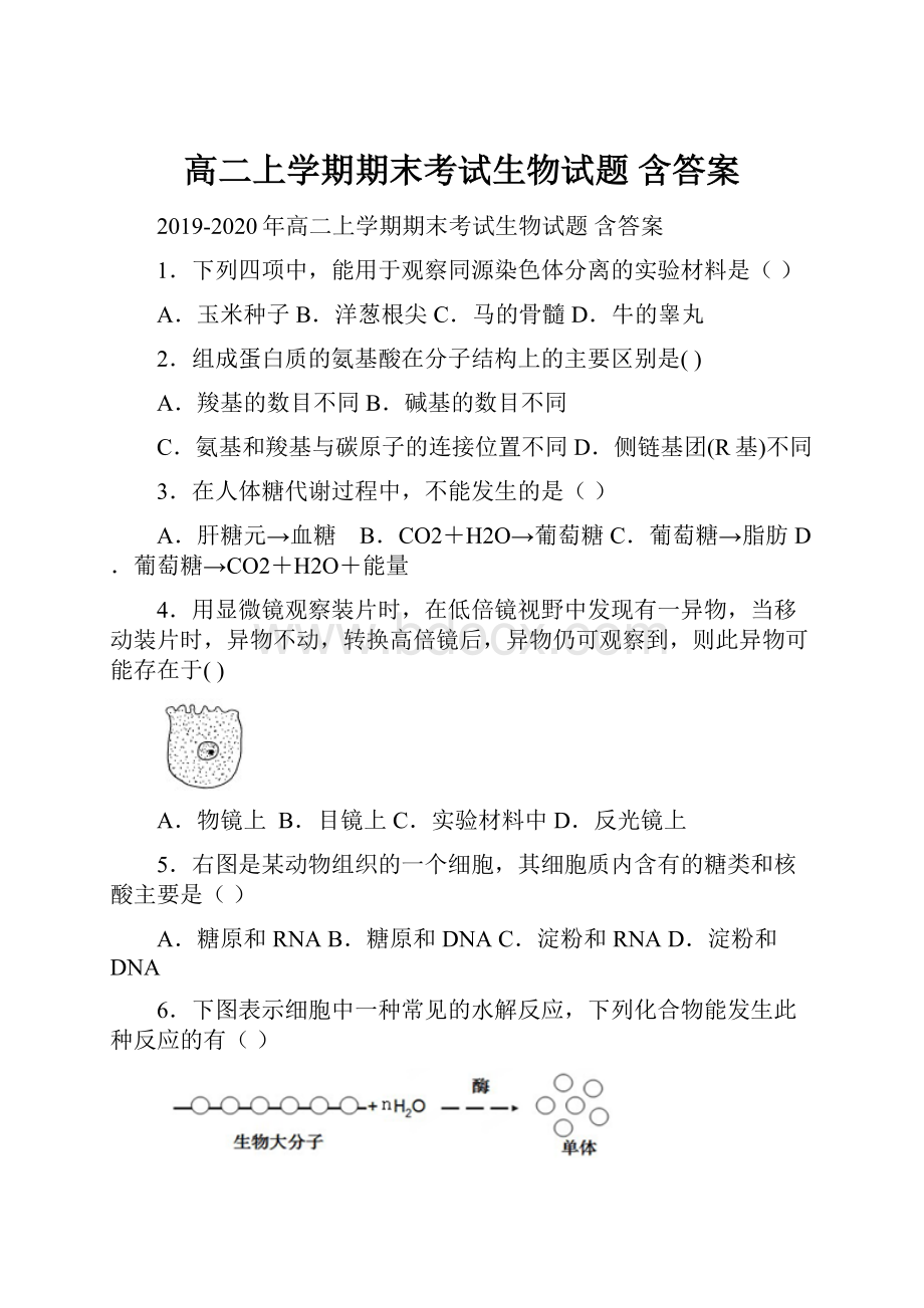 高二上学期期末考试生物试题 含答案.docx