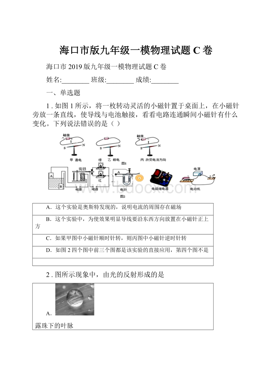 海口市版九年级一模物理试题C卷.docx