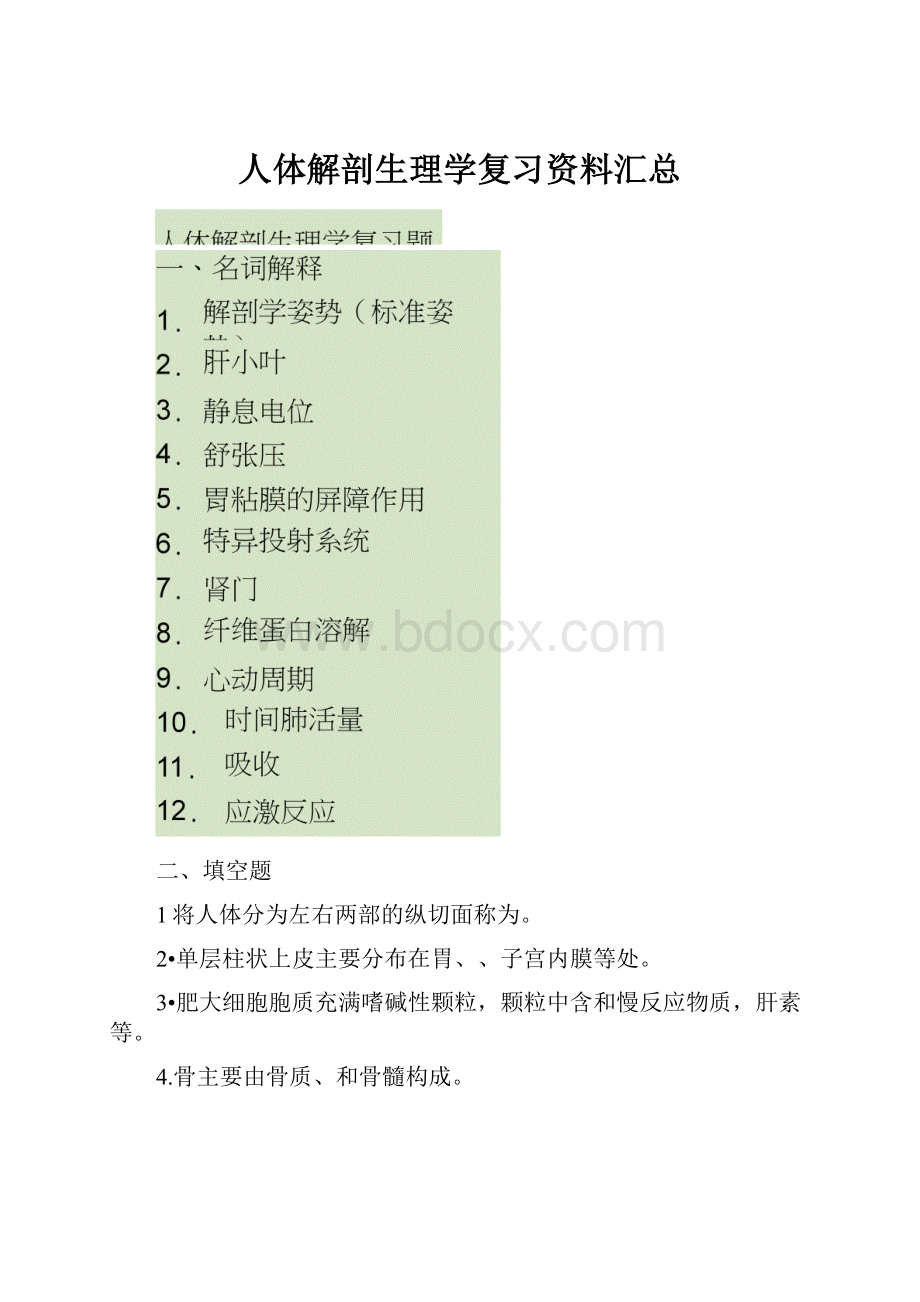 人体解剖生理学复习资料汇总.docx_第1页