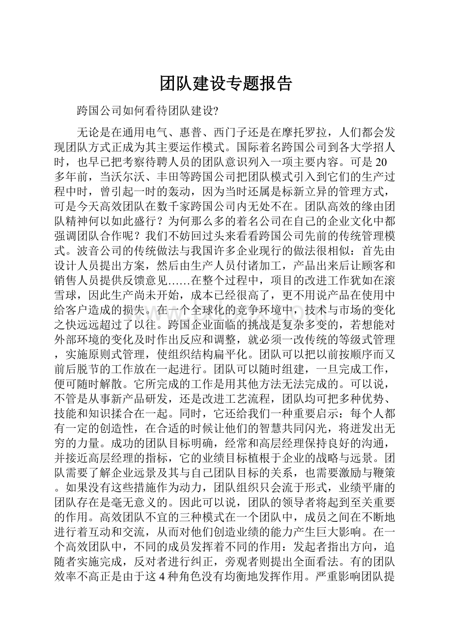 团队建设专题报告.docx