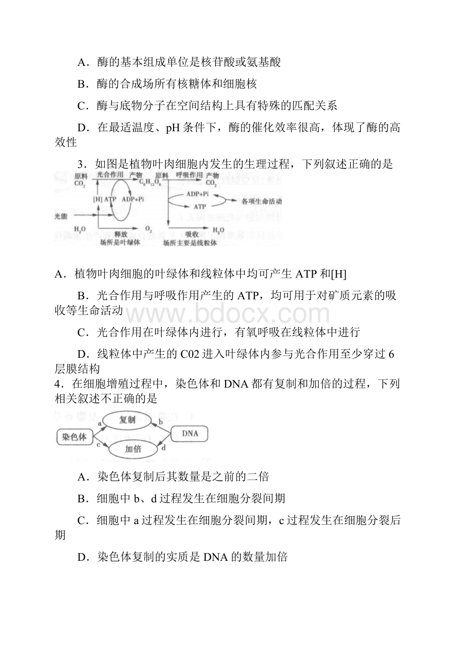 高考生物总复习《考试大纲》调研卷及答案七.docx_第2页