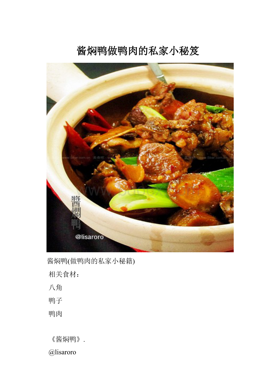 酱焖鸭做鸭肉的私家小秘笈.docx