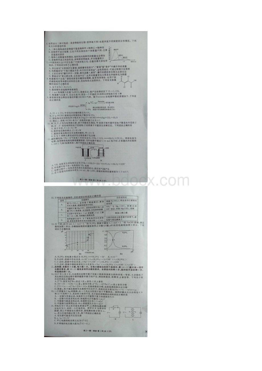 届河北省衡水中学高三下学期一模考试理科综合试题图片版.docx_第2页