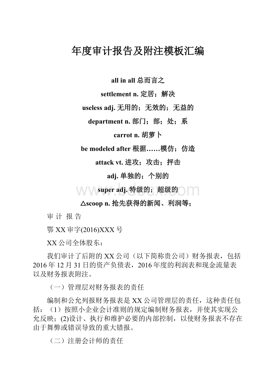 年度审计报告及附注模板汇编.docx_第1页