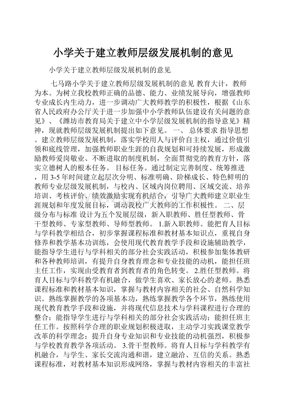 小学关于建立教师层级发展机制的意见.docx