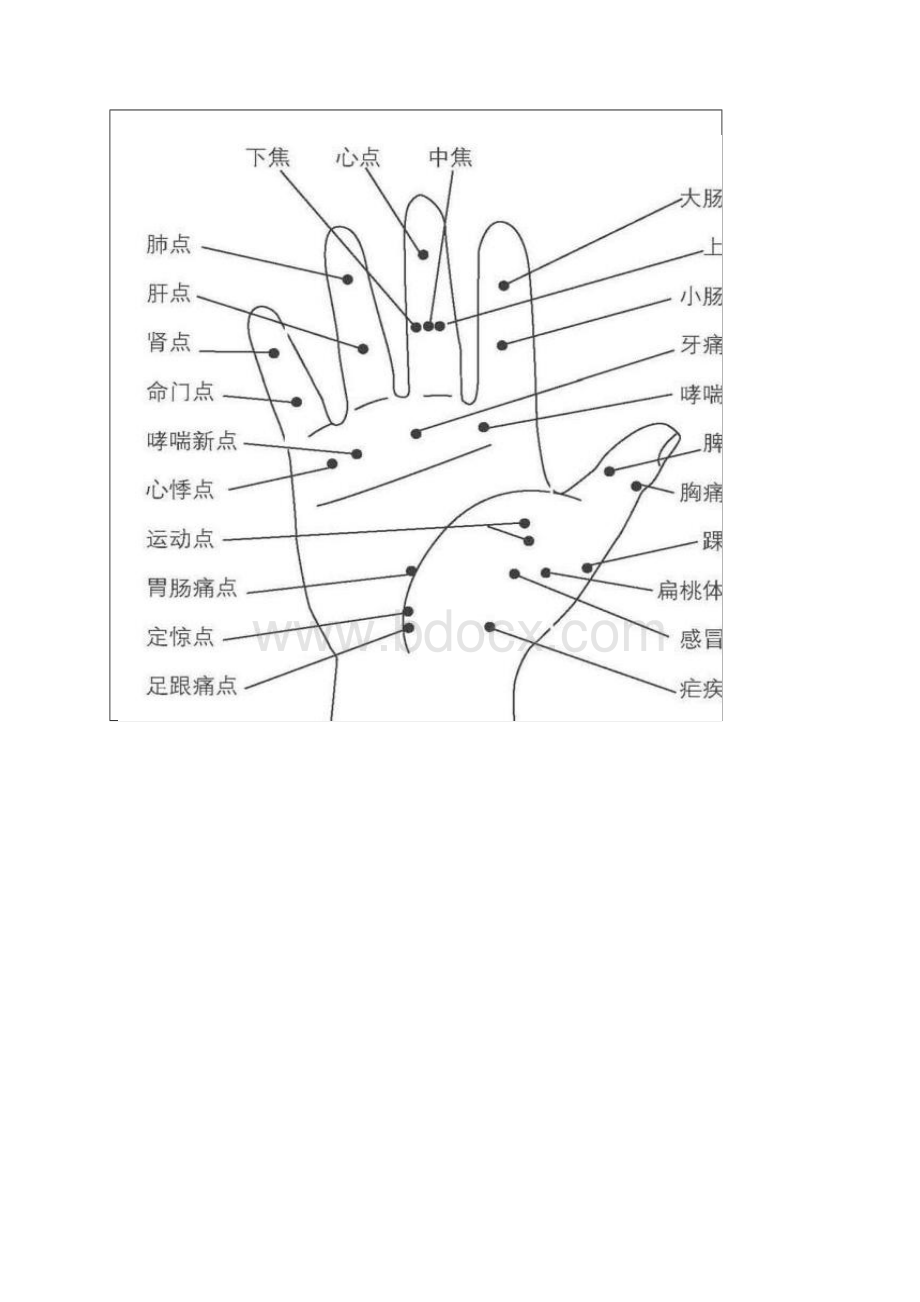 人体全息穴.docx_第3页