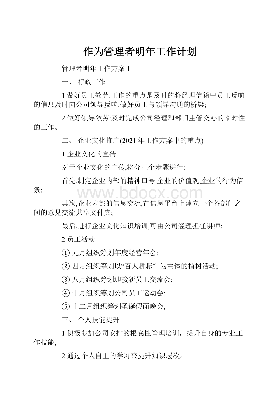 作为管理者明年工作计划.docx