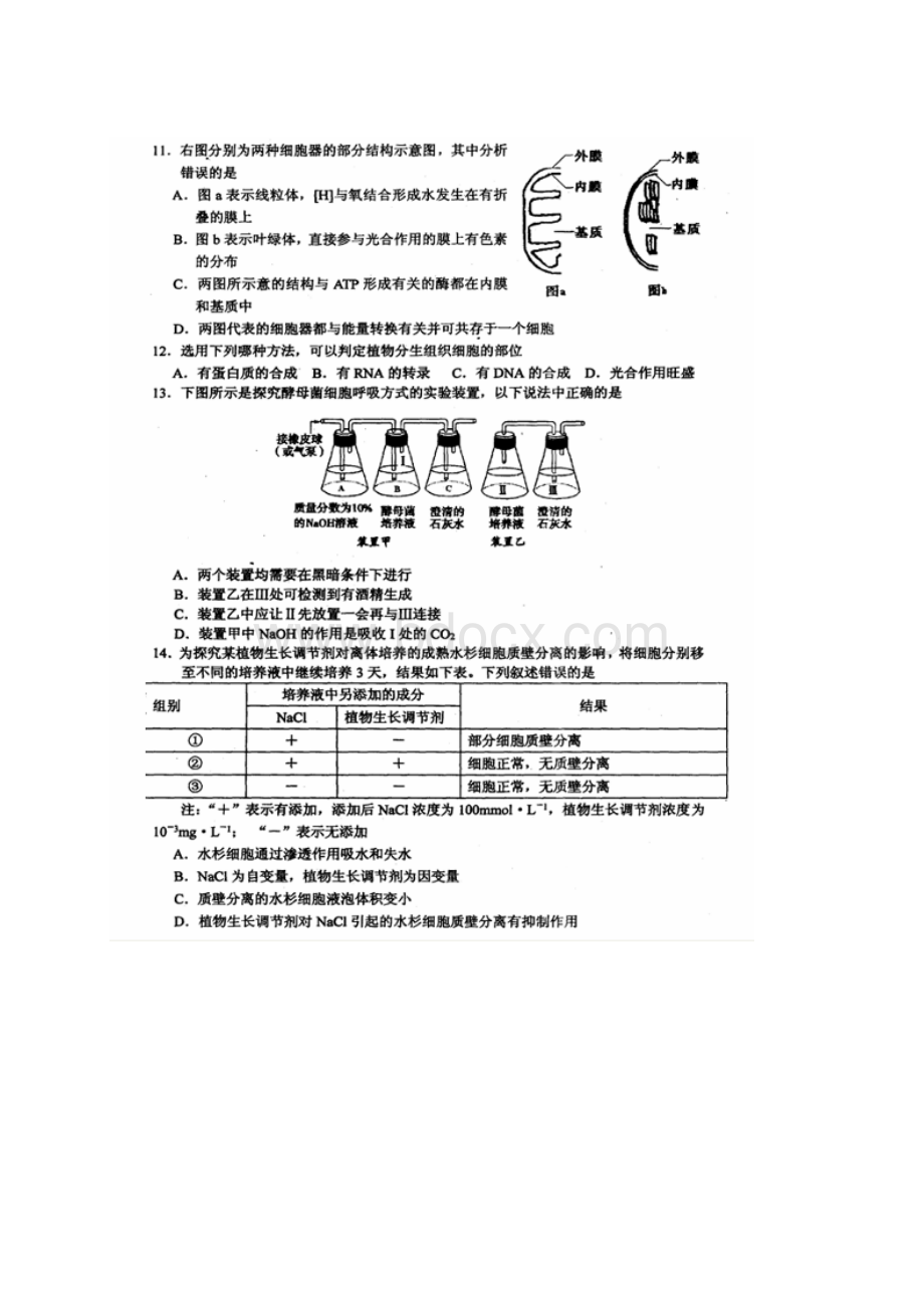 届高三上学期期中质量评估生物扫描版附答案.docx_第3页