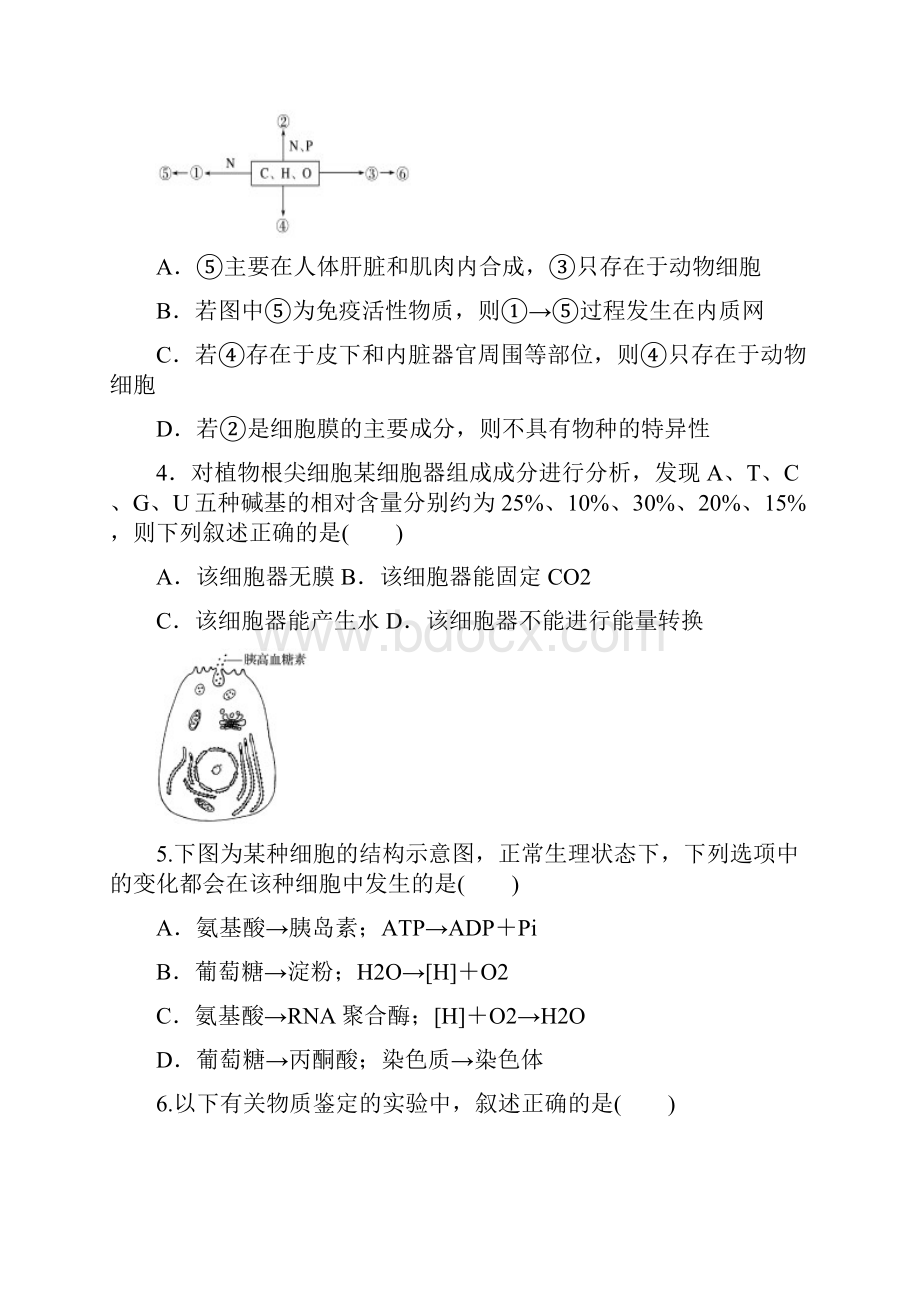 黑龙江省哈尔滨师范大学青冈实验中学校届高三月考生物试题.docx_第2页