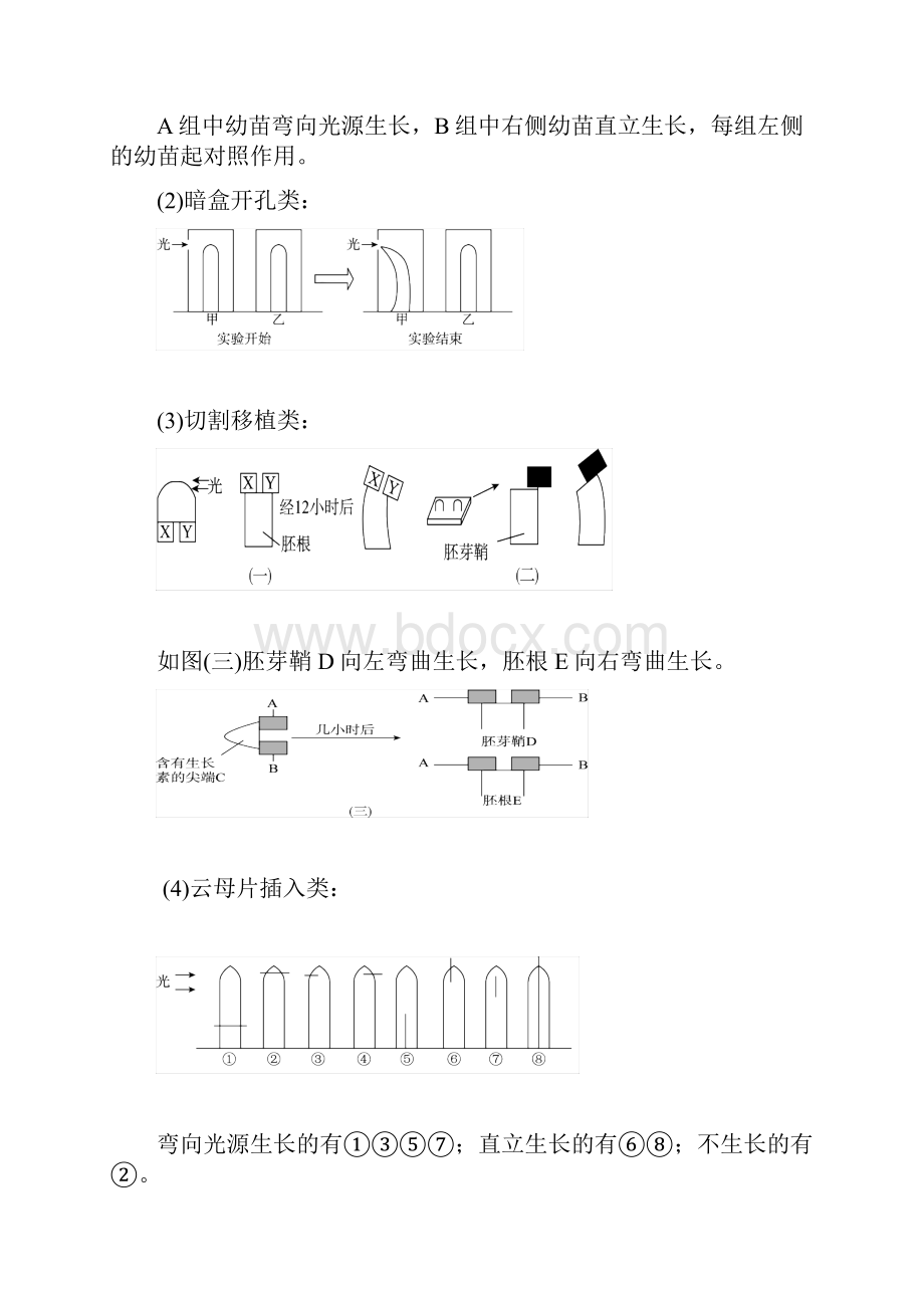 届 生物二轮复习 专题三 细胞的代谢 专题突破 2.docx_第3页