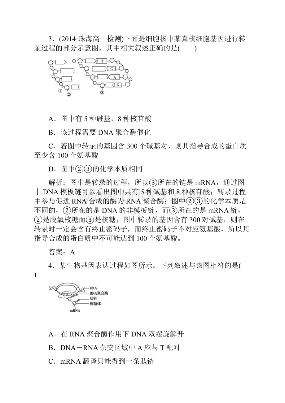 第1节 基因指导蛋白质的合成.docx_第2页