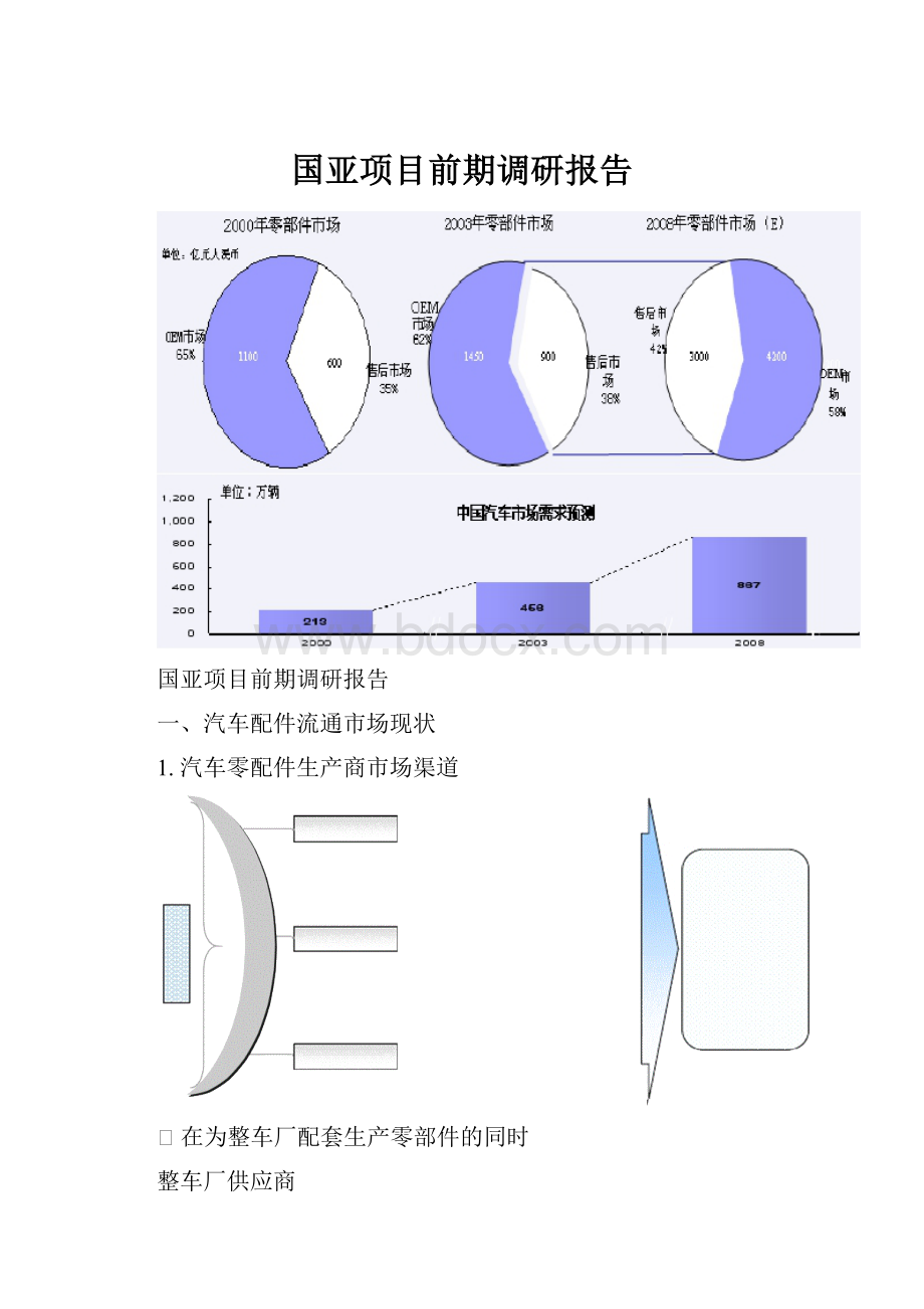 国亚项目前期调研报告.docx_第1页